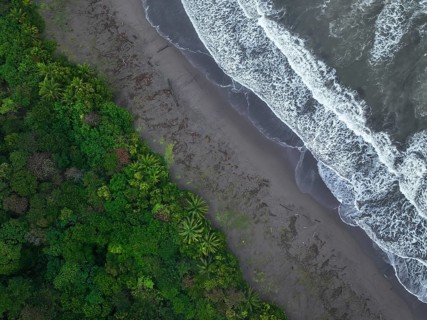 Top-down aerial view, beach and sea, coast with rainforest, Tortuguero National Park, Costa Rica,