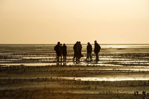 Hiker in the mudflats, sunset, Wyk, Föhr, North Frisia, Schleswig-Holstein, Germany, Europe
