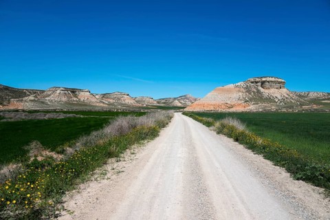 Long dirt track leads through green meadows and mountains under a deep blue sky, Bardenas Reales