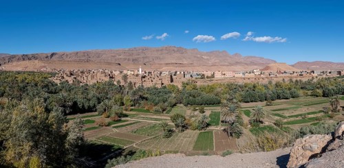 Oasis with traditional mud houses and date palms, on the edge of the Todra Gorge or Gorges du