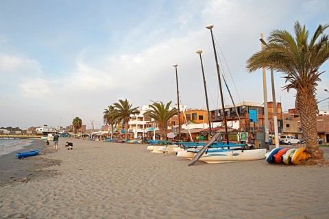Paracas, Reserva Nacional de Paracas, Ica region, Pisco province, Peru, South America