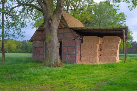 Photograph of a barn with a shelter with large bales of straw and a tree in front of it, Schneeren,