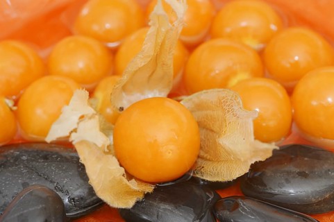 Cape gooseberry or Andean berry (Physalis peruviana), ripe fruit
