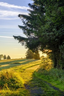 Am Heidelstein, Schwabenhimmel, UNESCO Biosphere Reserve, near Hausen, Rhön, Bavarian Rhön, Rhön,