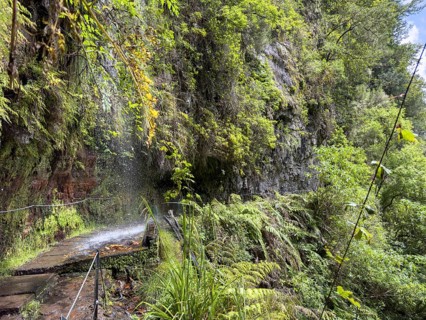 Hiking trail with waterfall on the Levada Nova and Levada do Moinho, Madeira, Portugal, Europe