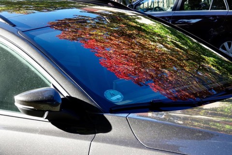 Trees with autumn colours reflected in a windscreen, October, Germany, Europe