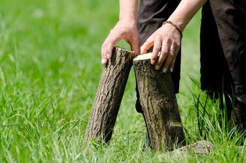 Woman Hands Holding Firewood on the Green Grass