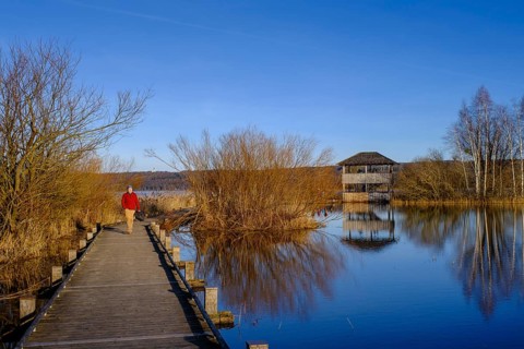 Plank path to the observation tower, high water in Dießen am Lake Ammer, Diessen, Fünfseenland,