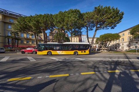Bus stop Piazza Rezzonico, public bus, pine tree (Pinus pinea), trees, blue sky, street Riva