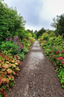 Footpath, Ilnacullin, Garinish Island, gardens, rain clouds, rainy weather, Glengarriff, Bay of