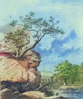 Famous old trees, cover picture of the book Sylva Britannica, Forest Trees, from 1826, England,