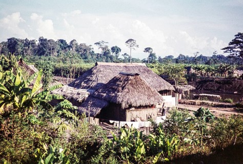 Thatched farmhouse, river delta of the Rio Magdalena, Colombia, South America 1961, South America