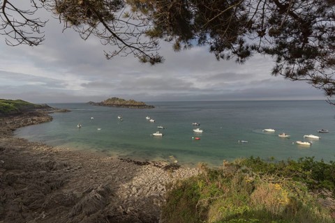Beach with anchored motor boats, framed with the twigs of a pine tree. Looking at the sea and the