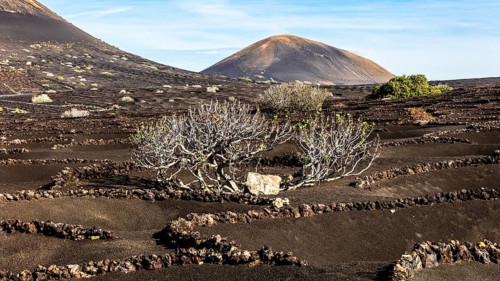 2016, La Geria, Lanzarote, La Geria, ESP, Spain, Canary Islands, Canary Islands, Atlantic Ocean,