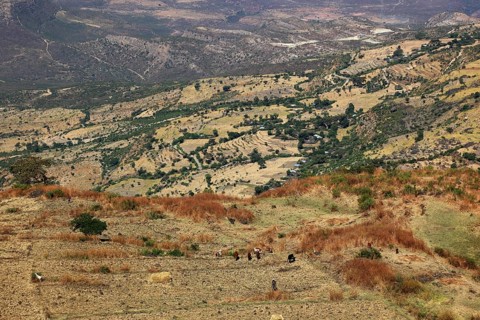 Landscape in the Choke Mountains, view into the valley, Ethiopia, Africa