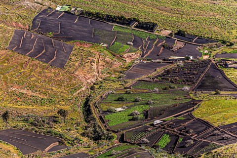 2016, Haria, Lanzarote, Haria, ESP, Spain, Canary Islands, Canary Islands, Atlantic Ocean,