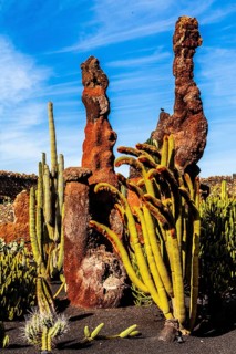 2016, Guatiza, Lanzarote, Jardin de Cactus by Cesar Manrique, ESP, Spain, Canary Islands, Canary