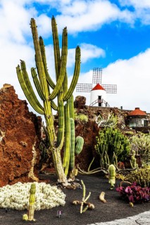 2016, Guatiza, Lanzarote, Jardin de Cactus by Cesar Manrique, ESP, Spain, Canary Islands, Canary