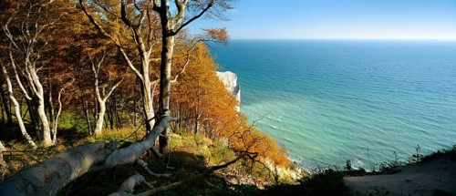 Coastal forest at the chalk cliffs of Møns Klint, view of the Baltic Sea in autumn, Møn Island,