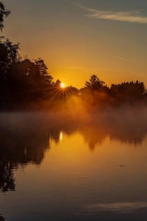 Autumnal morning atmosphere at Schmutter Weiher with fog near Lechbruck, Halblech and Roßhaupten in