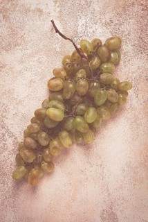 A branch of white grapes, wine grapes, Georgian grape variety Rkatsiteli, top view