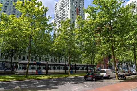 Urban greening, inner-city street Laan op Zuid, in Rotterdam's Feijenoord district, 4 lanes, 2 tram