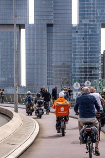 Cyclist on the cycle path of the Erasmus Bridge over the Nieuwe Maas, skyline of the skyscrapers on