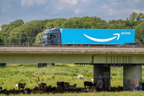 Lorry on the A40 motorway, bridge over the Ruhr and Styrumer Ruhrauen, herd of cattle, dairy cows