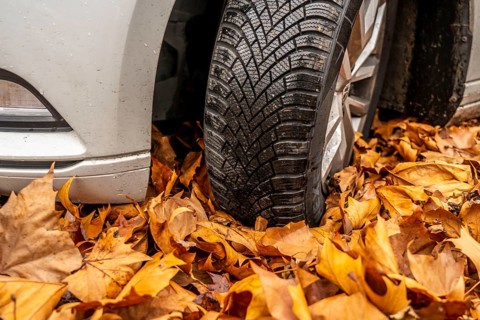 Driving on autumn leaves, slippery surfaces, leaves, grip from winter tyres