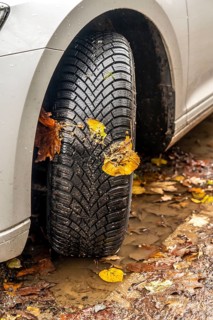 Driving on autumn leaves, slippery surfaces, leaves, grip from winter tyres