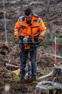 Reforestation in the Arnsberg Forest near Warstein-Sichtigvor, Soest district, forestry workers