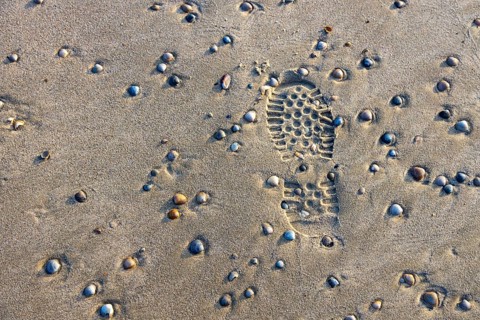 East Frisian North Sea island of Spiekeroog, Wadden Sea National Park, in winter, walk on the beach