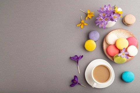 Multicolored macaroons with spring snowdrop crocus flowers and cup of coffee on gray pastel