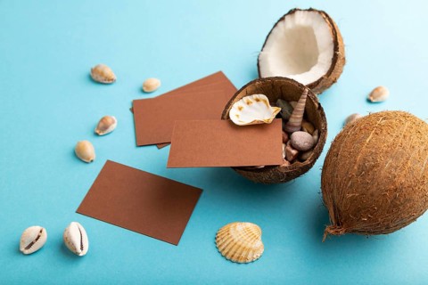 Brown paper business card with coconut and seashells on blue pastel background. Side view, copy