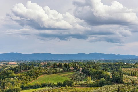 Hilly landscape, cypress (Cupressus), olive, olive tree (Olea europaea), weather, clouds, sky, San