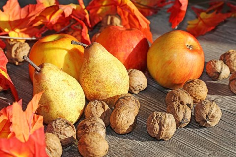 Apples, pears and walnuts on a rustic wooden table as an autumnal motif