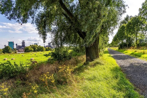 Duisburg Friemershein, field path, floodplain along the Rhine, nature reserve Rheinaue