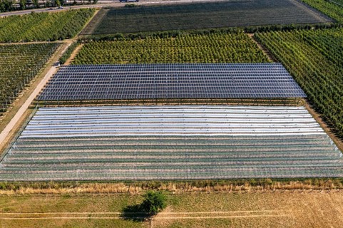 Agri-photovoltaic test plant, an apple orchard with two different systems of PV modules was roofed