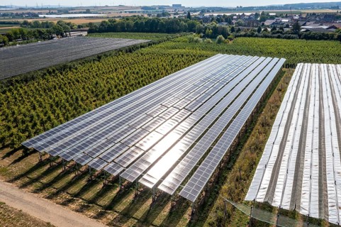 Agri-photovoltaic test plant, an apple orchard with two different systems of PV modules was roofed