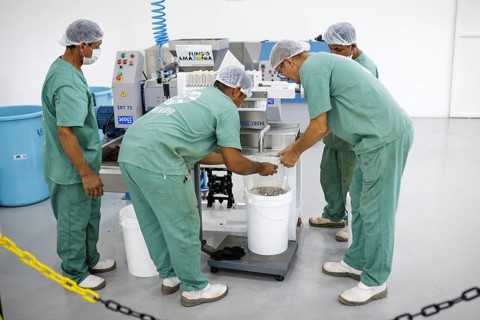 Employees of the Santarem Ecological Centre near Copaiba Oil, production. Santarem, 19.07.2024.