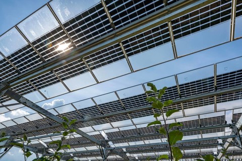 Agri-photovoltaic test plant, an apple orchard with two different systems of PV modules was roofed