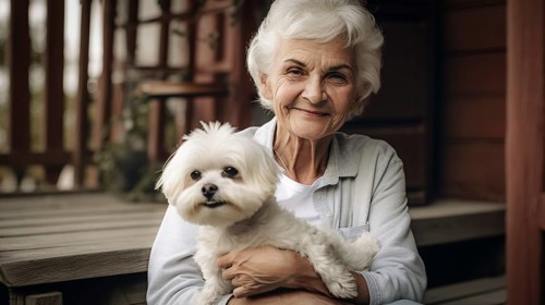 Attractive happy elderly woman on her porch holding her maltese puppy, generative AI, AI generated