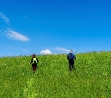 Hiker in a meadow on a mountain, Bad Vigaun, Austria, Europe
