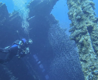 Shoal of fish and divers in the wreck of the Carnatic, Red Sea, Egypt, Africa