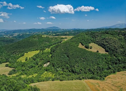 Mountain landscape near Ripavecchia in the Marche Apennines. Arquata del Tronto, Ascoli Piceno,