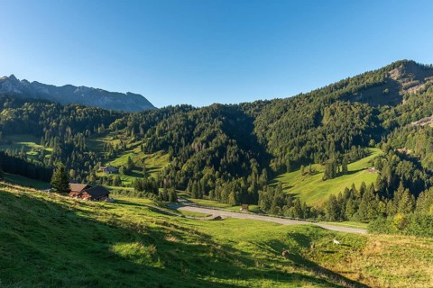 Urnäsch, Alpine pasture, Forest, Canton Appenzell, Ausserrhoden, Appenzell Alps, Switzerland,
