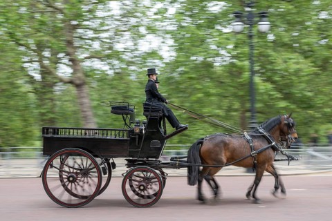Horse-drawn carriage, Trooping the colour, military parade in June in honour of the British