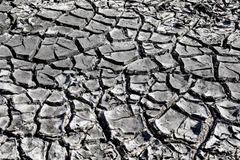 The bottom of a dried-up fish pond in Reckahn in Brandenburg looks like parched desert soil. The