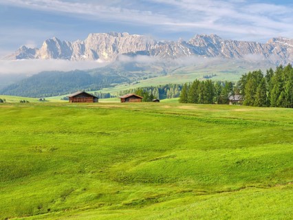 Spring on the Seiser Alm, Alpine huts with rose garden, fog, Dolomites, South Tyrol