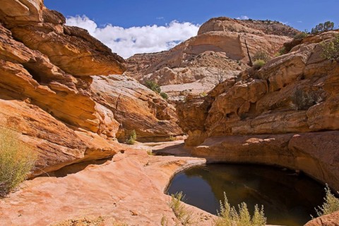 Capitol Reef NP, Utah, USA, Capitol Reef NP, Utah, USA, North America